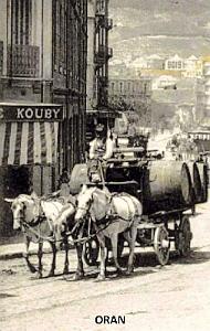 Oran 046